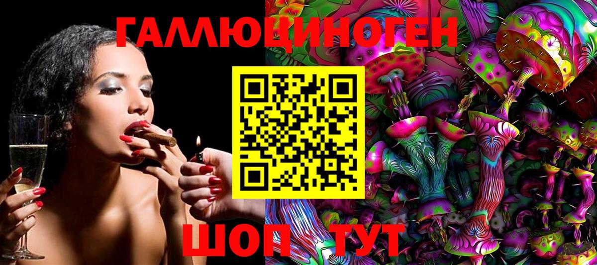 Котлас  Псилоцибиновые грибы мухоморы  Галлюциногенные грибы GOLDEN TEACHER  Вход с VPN 