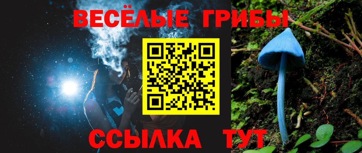Галлюциногенные грибы мицелий Котлас